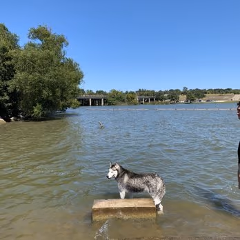 Dog Park at White Rock Lake Park